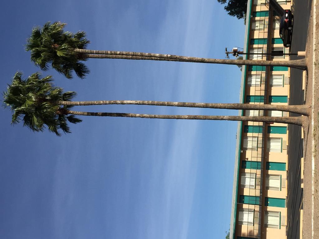 טוסון Amazon Motel מראה חיצוני תמונה